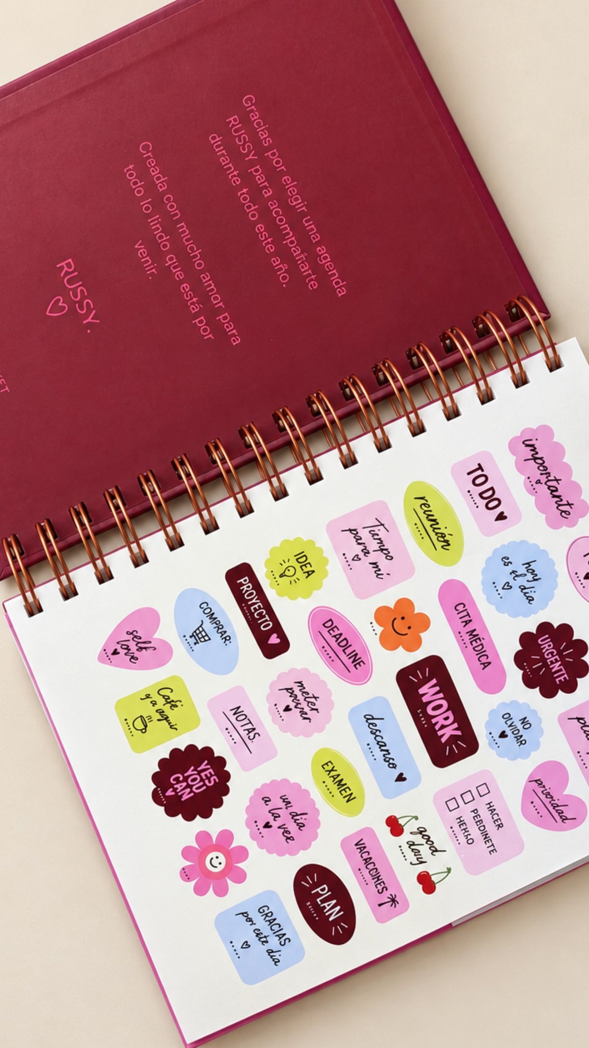 AGENDAS RUSSY