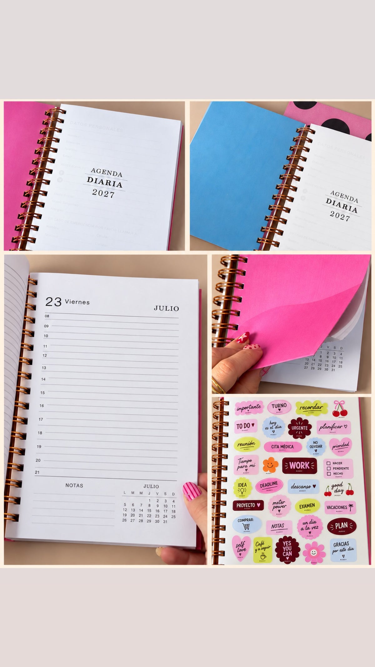 AGENDAS RUSSY
