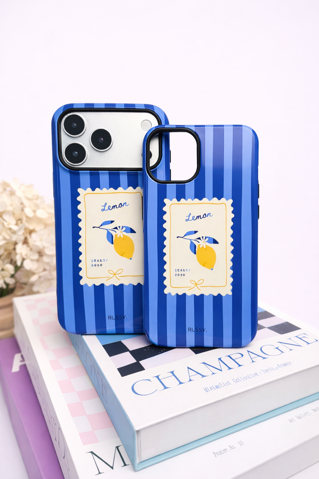 Case  "LEMMON ITALY"
