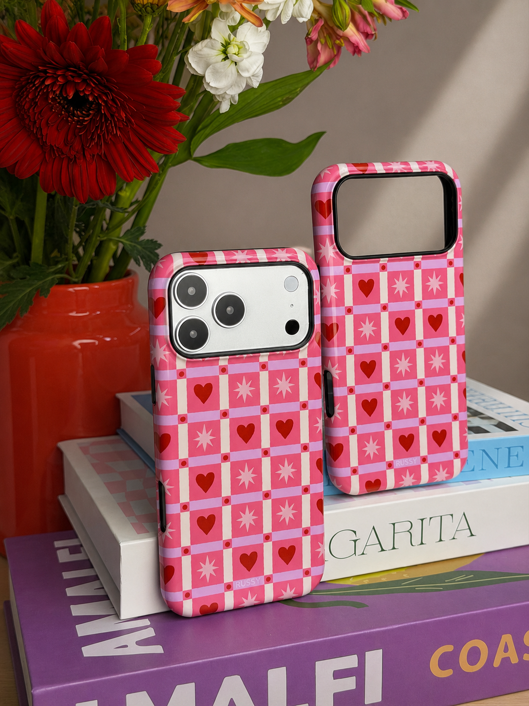 Case "CORAZON ESTELAR"